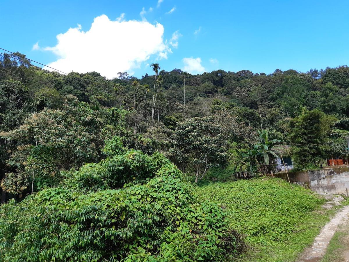 Mountain View Holiday Home Kalpetta Exterior foto