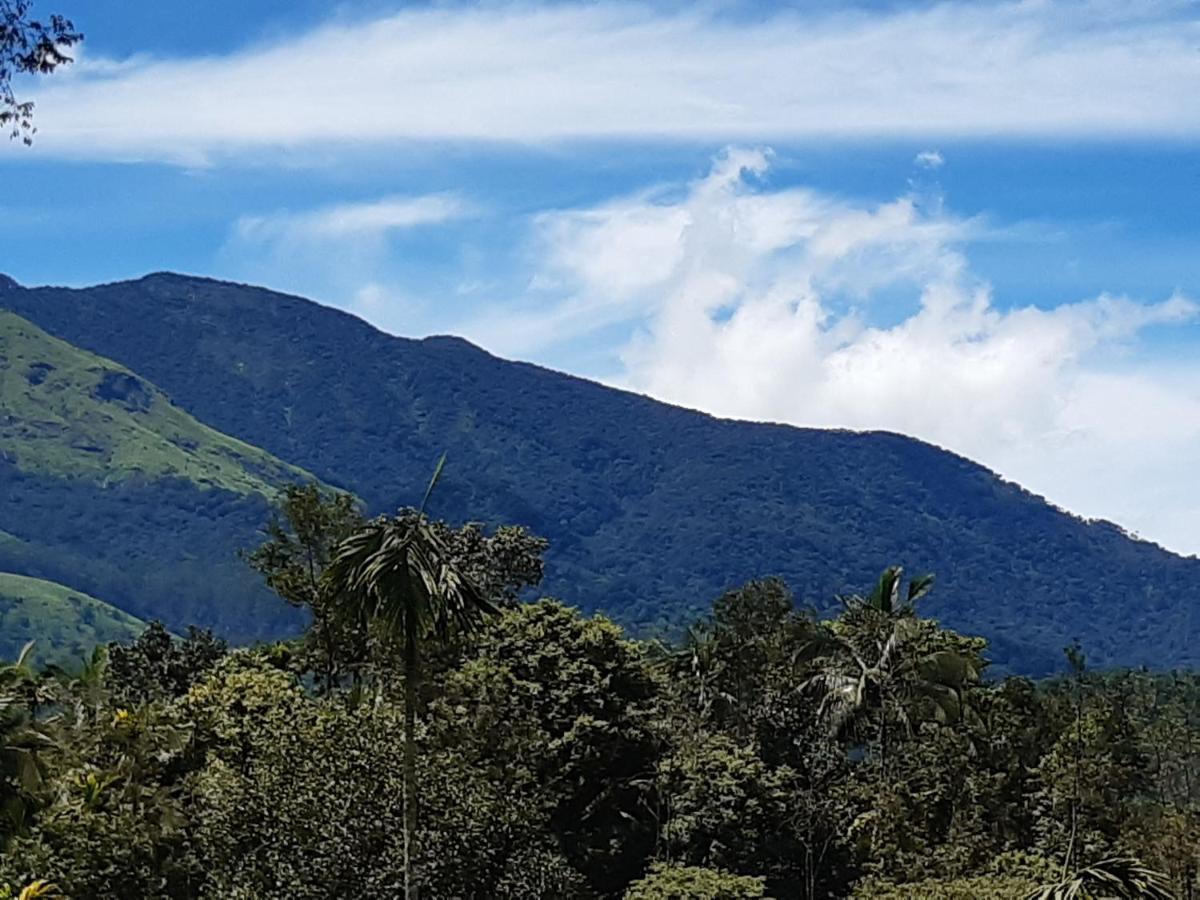Mountain View Holiday Home Kalpetta Exterior foto
